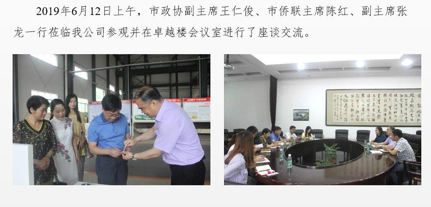 市政協(xié)副主席、僑聯(lián)主席一行蒞臨我公司調(diào)研